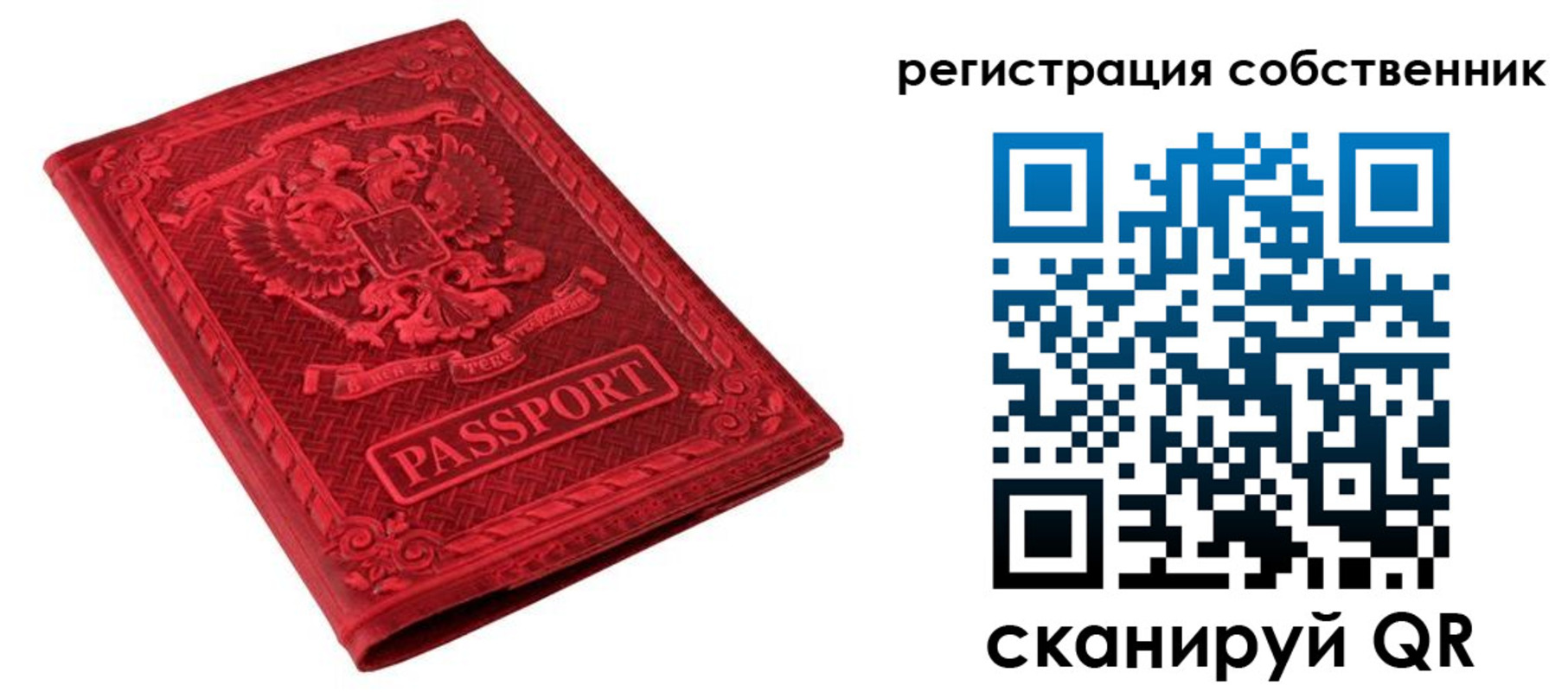 регистрация для школы в Бородино